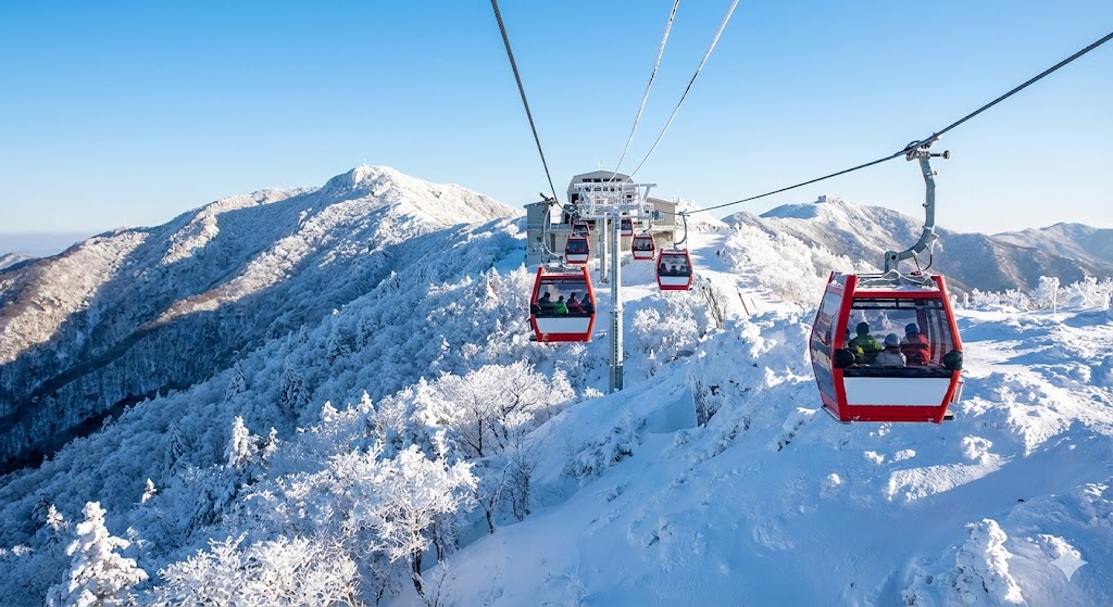 덕유산 곤돌라 케이블카, 산 위로 올라가는 모습