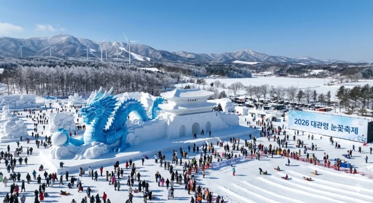 2026 대관령 눈꽃축제 대규모 눈 조형물과 겨울 설경 전망