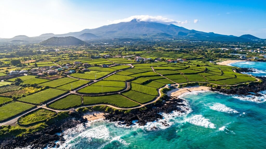 제주도 2박3일 여행 코스 완벽 가이드 – 동부·서부·남부 일정·맛집·카페 총정리