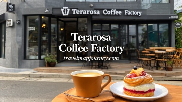 강릉 카페투어의 핫플 테라로사와 감성 카페거리 풍경