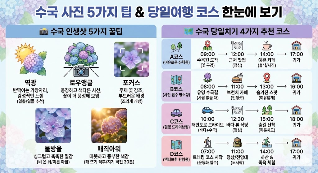 수국 사진 잘 찍는 팁 & 당일여행 일정 – 역광·로우앵글·포커스·물방울·매직아워, 공주·옥천·아산·경주 코스