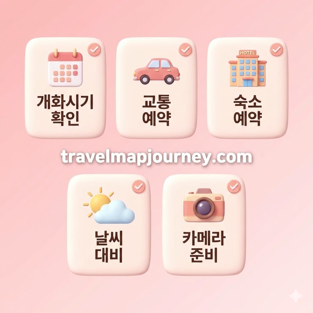 봄꽃 축제 방문 팁: 개화시기 확인, 교통 예약, 숙소 예약, 날씨 대비, 카메라 준비 인포그래픽
위치: 섹션 6 (봄꽃 축제 방문 팁)