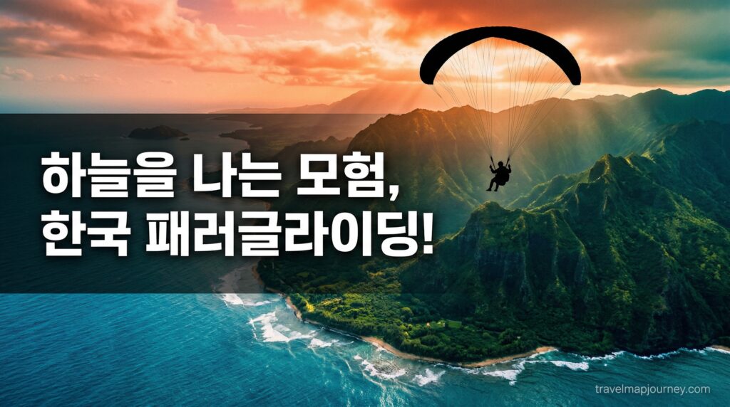 하늘·바다·숲 전부 정복! 전국 이색 액티비티 체험 TOP 10 총정리