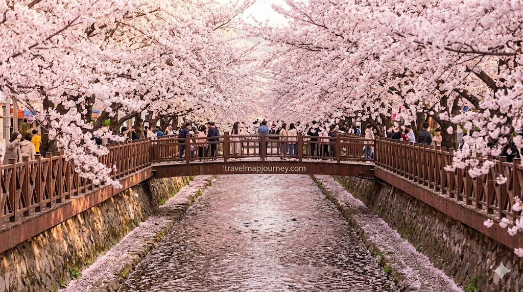 진해군항제 완벽 가이드 – 벚꽃 명소, 코스, 주차, 꿀팁까지 총정리