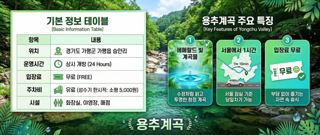 기본 정보 테이블 + 특징 3개 아이콘 카드 (에메랄드/1시간/무료)