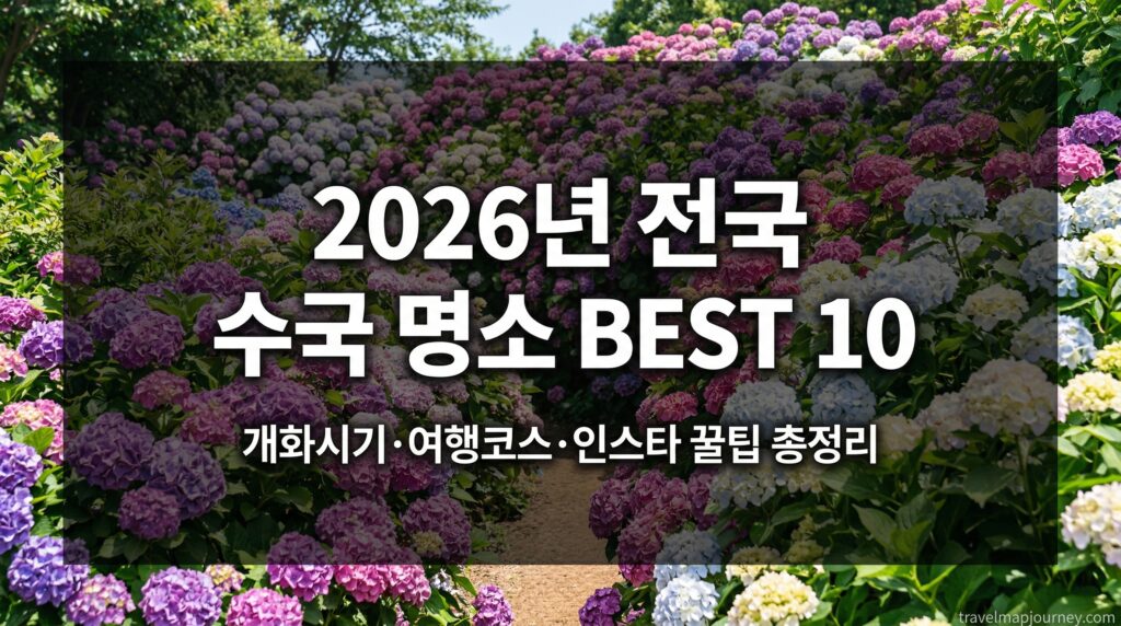 2026년 전국 수국 명소 BEST 10 – 인스타 성지 개화시기·여행코스 총정리