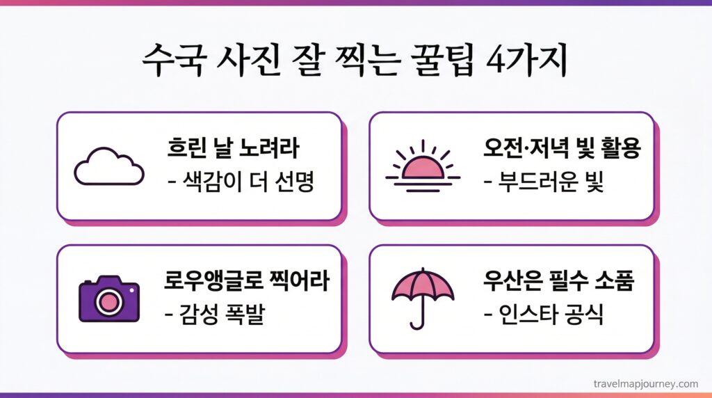 수국 여행 인스타 감성 사진 꿀팁 구도 가이드