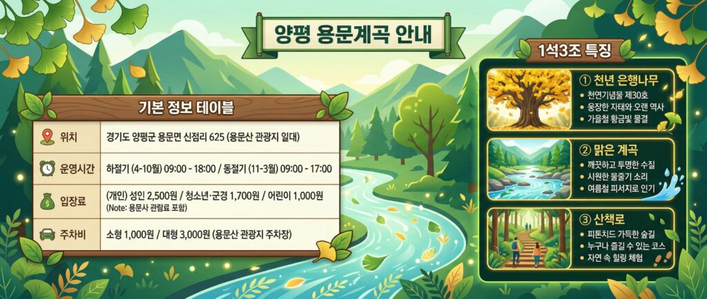 기본정보 테이블 + 1석3조 특징 3개 아이콘 카드