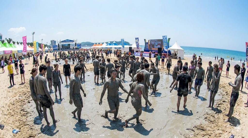 보령머드축제 대천해수욕장에서 머드를 즐기는 사람들 전경