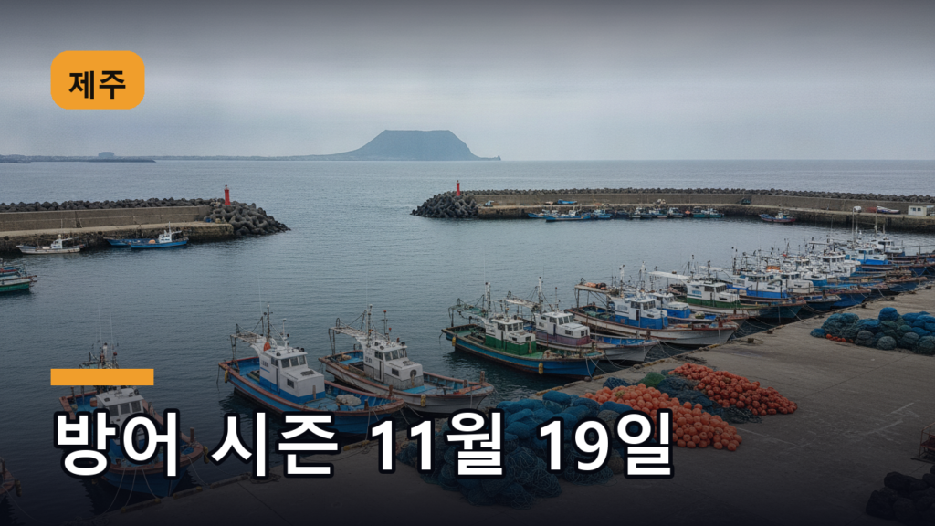 모슬포 방어축제 2026, 11월 19일 일정만 확정됐어요