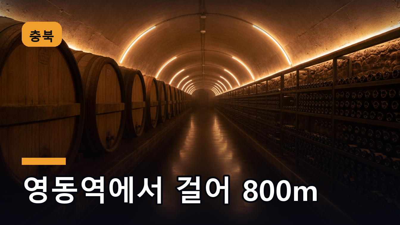 영동 와인터널 지하 전시 공간의 오크통과 와인 저장고 분위기