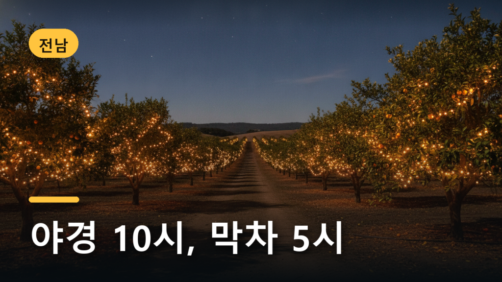 고흥유자축제 2026, 야경은 10시까지 서울행 막차는 5시