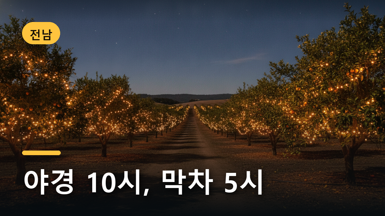 밤에 따뜻한 조명을 밝힌 과수원 나무들과 사이로 난 흙길