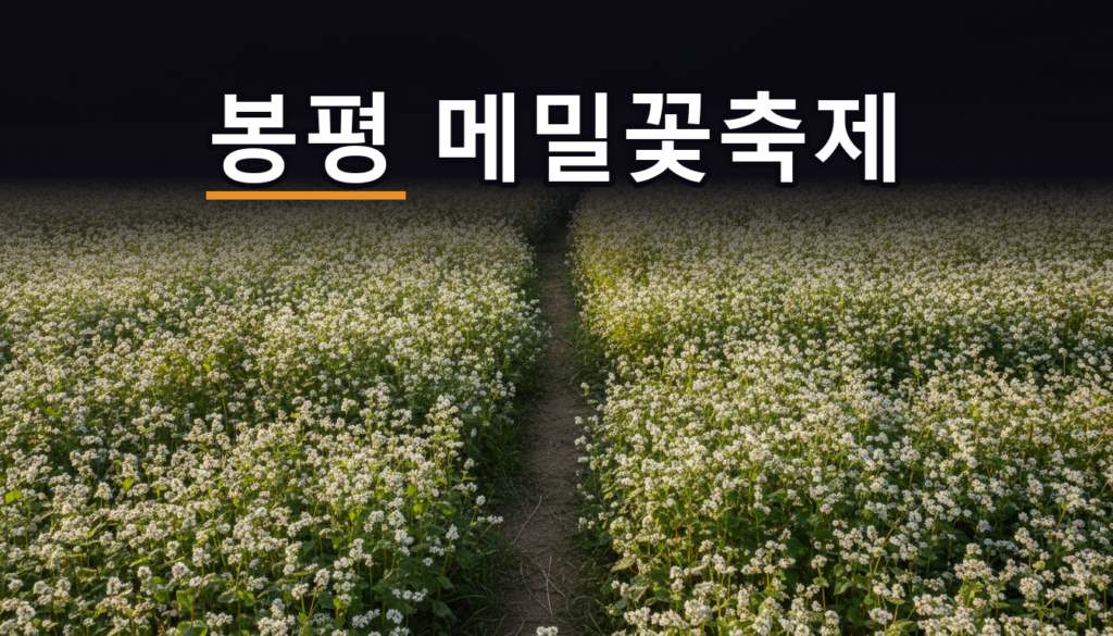봉평 메밀꽃축제 2026, 9월 4일부터 (장날은 이틀뿐)
