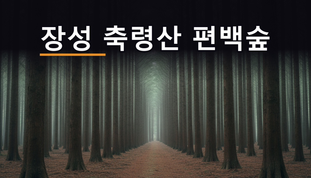 장성 축령산 편백숲 주차장 5곳, 유모차엔 추암 산행엔 모암