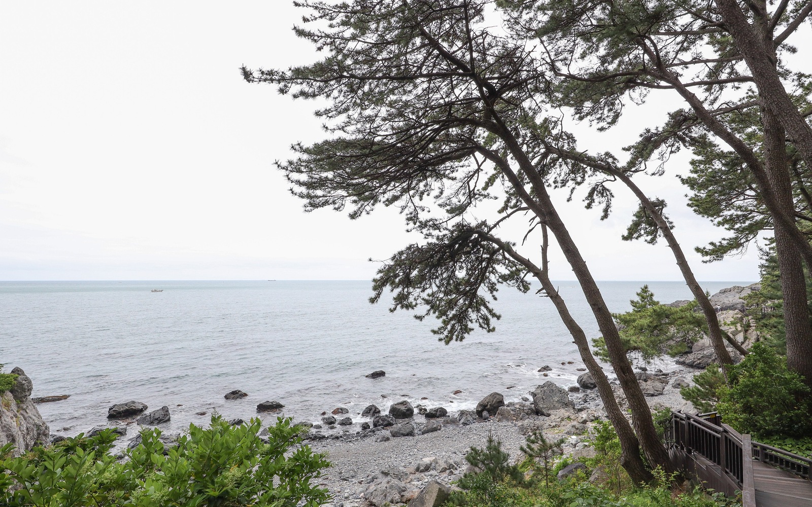 부산숙소 해운대 권역 선택에 참고할 동백섬 해안 산책로