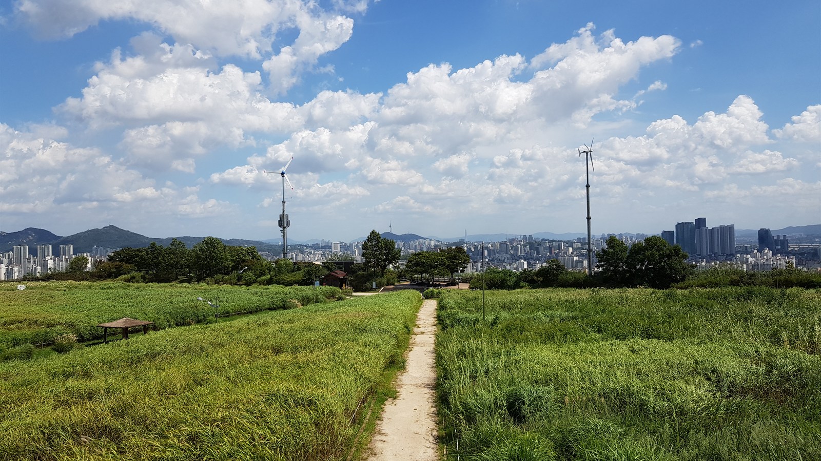 하늘공원 초지와 풍력발전기 뒤로 보이는 서울 도심 전경