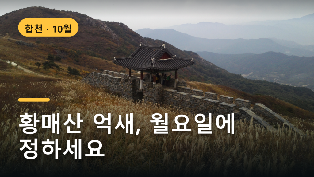 2026 황매산 억새축제, 언제 가야 할까