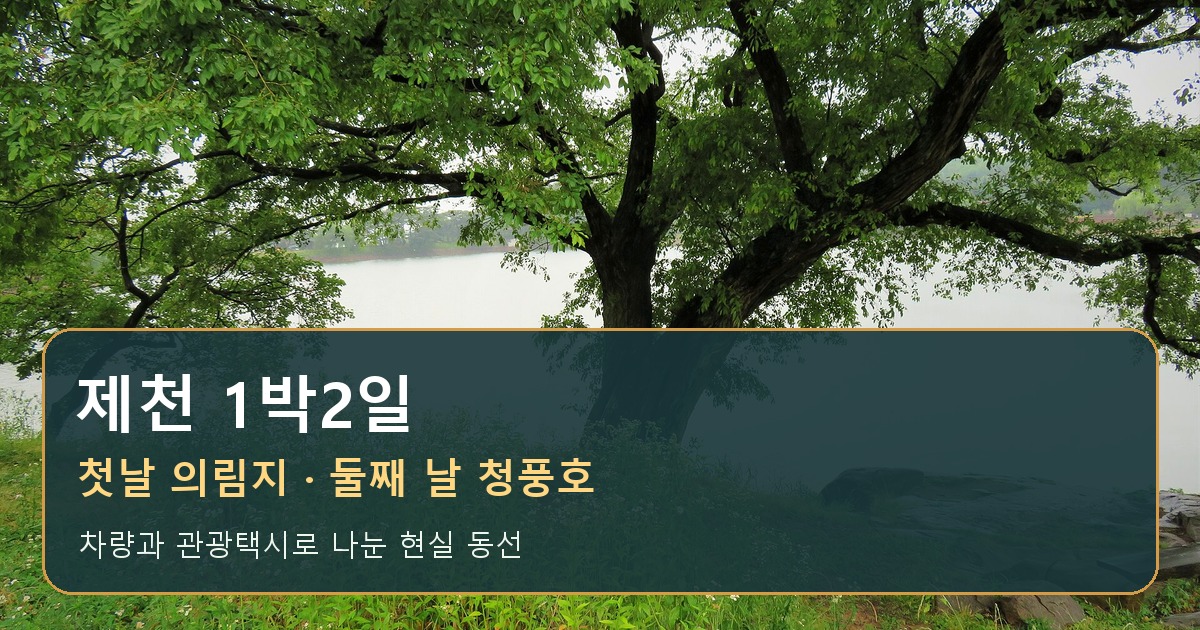 제천1박2일 의림지와 청풍호 코스 실제 의림지 풍경