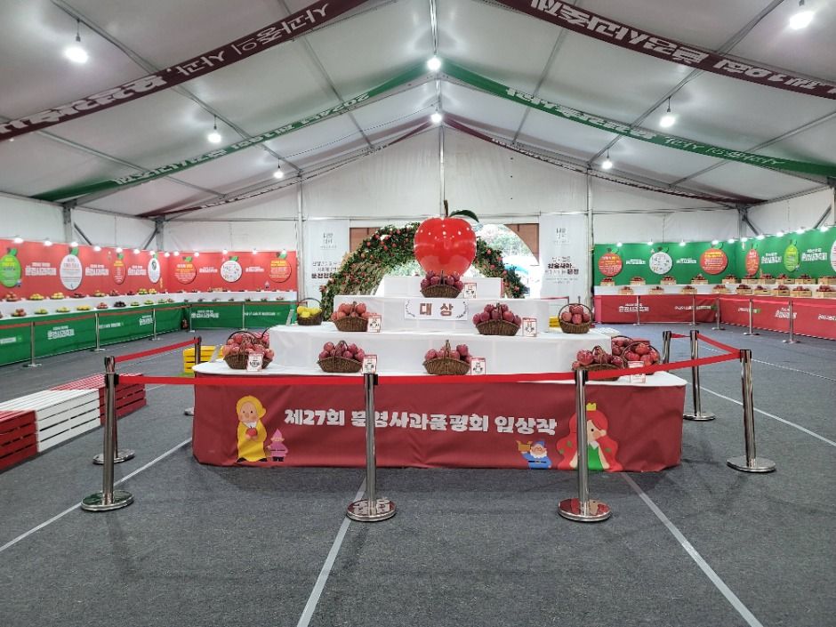 문경사과축제 천막 전시장 안 사과 품평회 입상작 전시대