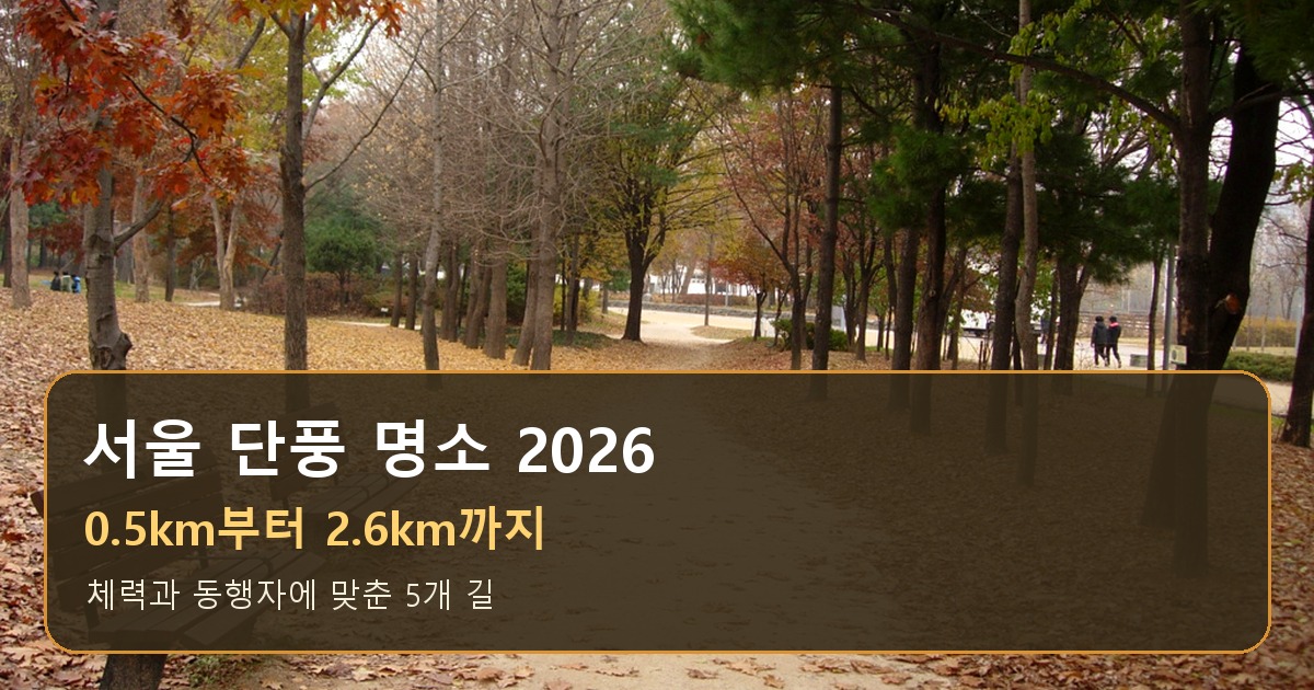 서울단풍명소 2026 체력별 5개 길 서울숲 가을 산책로