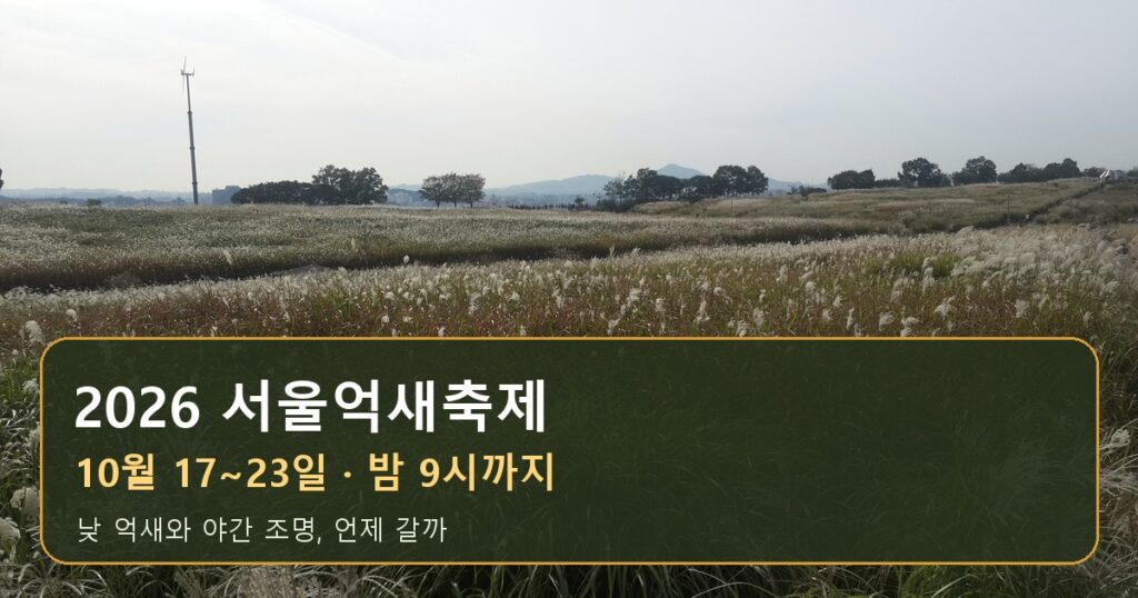 2026 서울억새축제, 밤 9시까지 보는 법