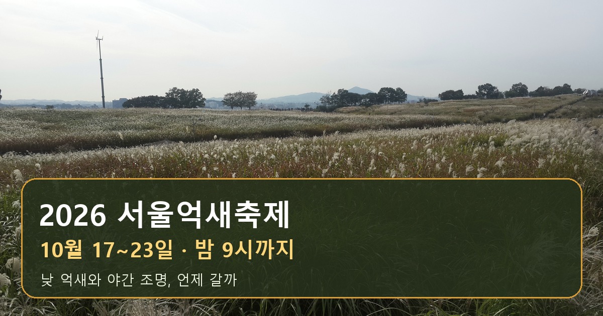 2026 서울억새축제 10월 17일부터 23일 밤 9시 하늘공원 억새