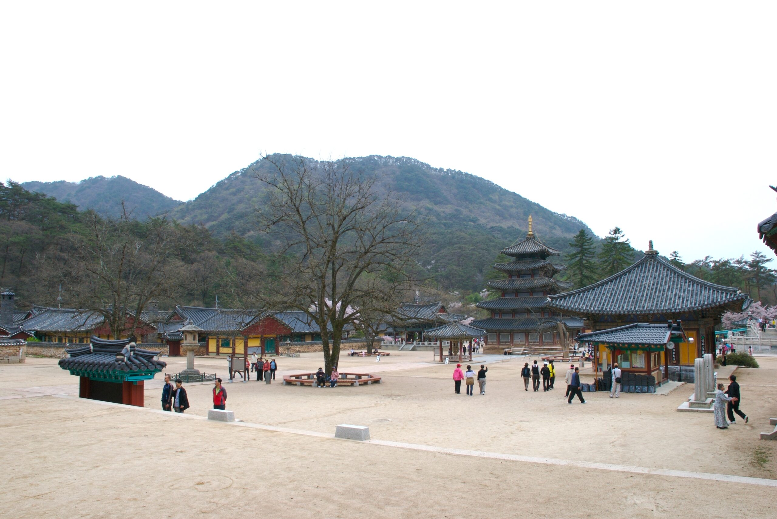 보은 법주사 경내의 실제 전각과 마당
