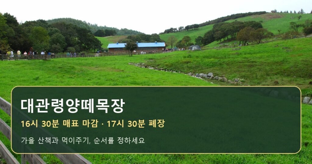 평창1박2일, 대관령·진부 숙박 선택