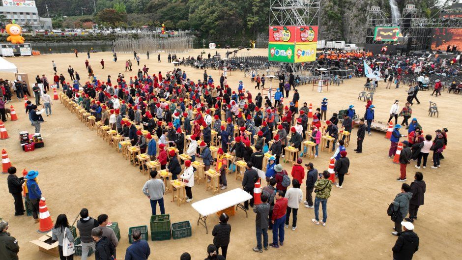 청송사과축제 사과 체험 실제 장면