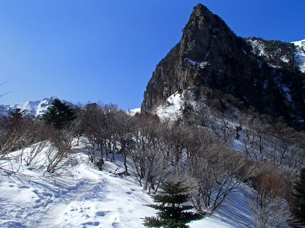 제주도겨울여행, 동백·한라산·바람 대안