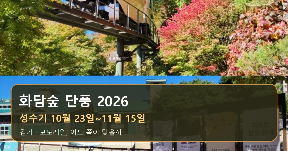 화담숲단풍 2026 성수기와 걷기 모노레일 선택