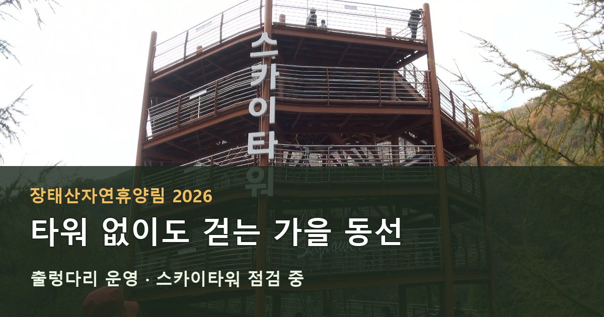 장태산자연휴양림 2026 스카이타워 점검과 가을 숲 동선