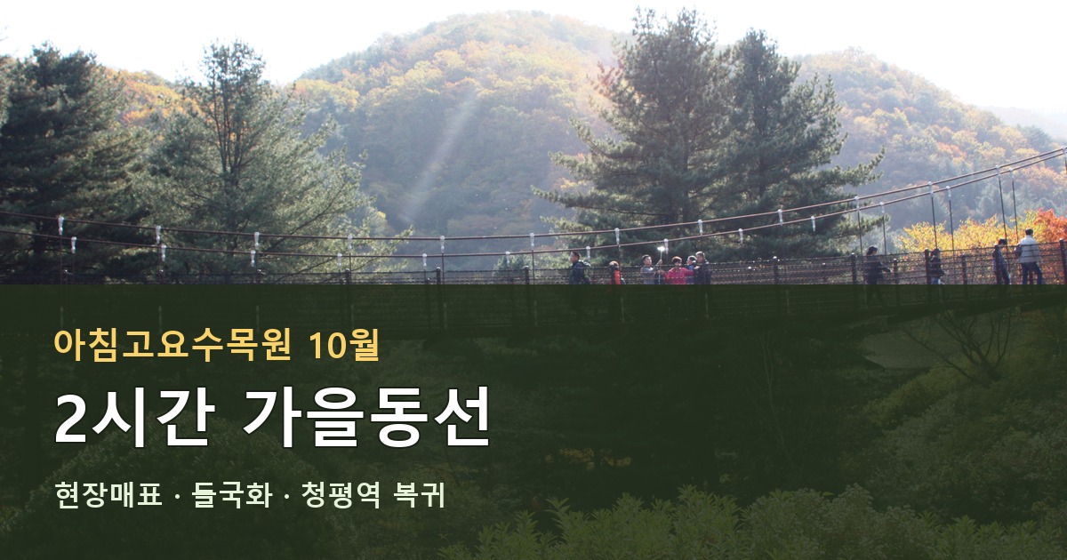 아침고요수목원 10월 2시간 가을동선