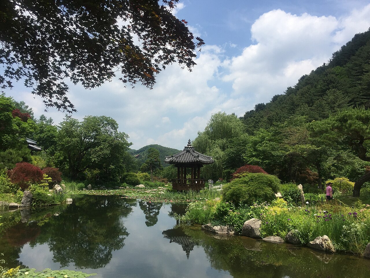 아침고요수목원 서화연 실제 연못정원