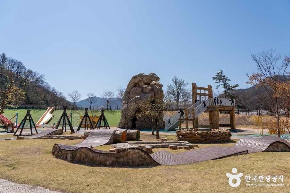 문경가볼만한곳 문경에코월드 야외 체험 공간 실제 모습