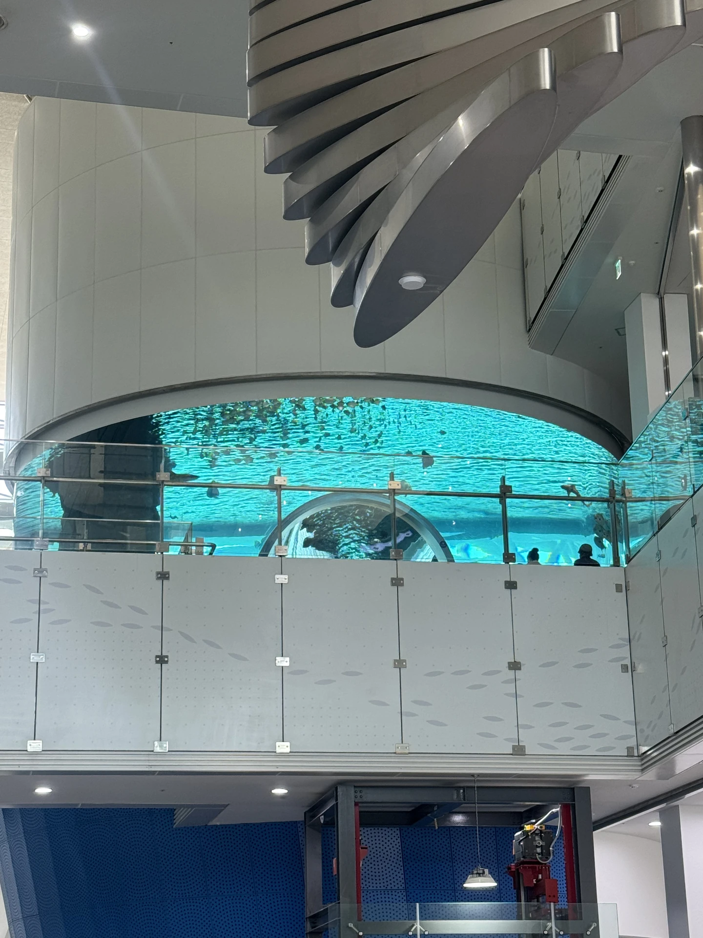 Aquarium exhibit at the National Maritime Museum of Korea in Busan